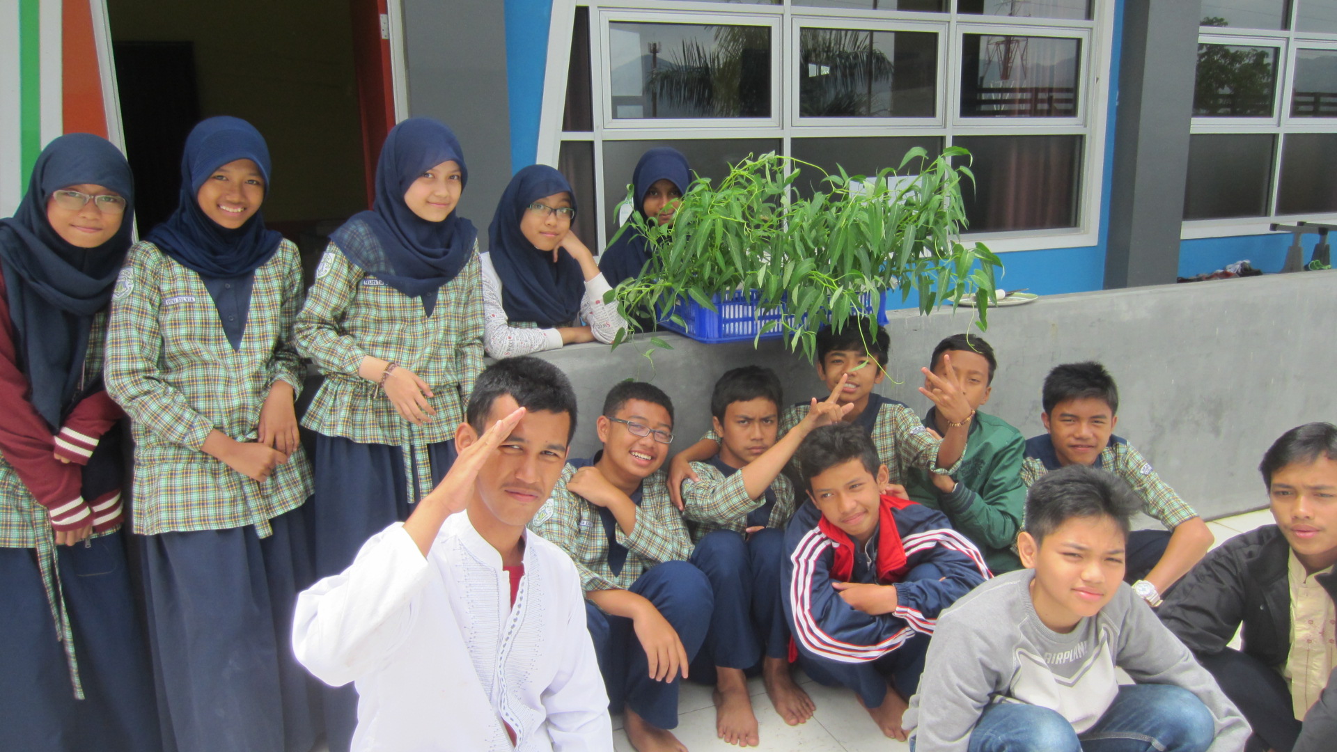 kls91